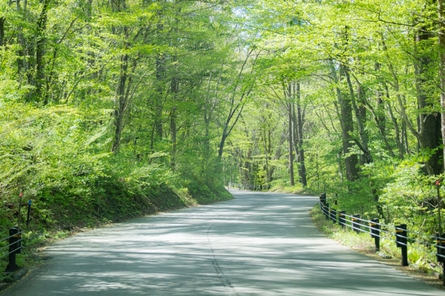 karuizawa 