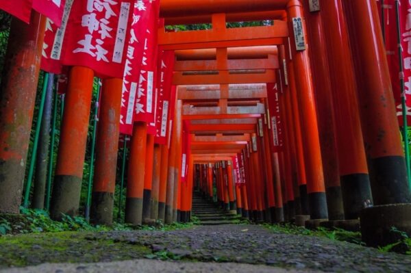 9 Best Temples and Shrines to Visit in Kamakura | Japan Wonder Travel Blog