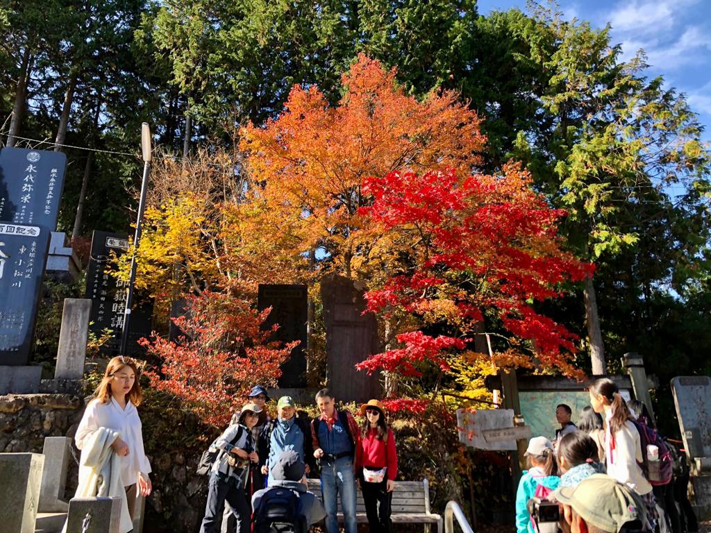 Autumn Mount Takao