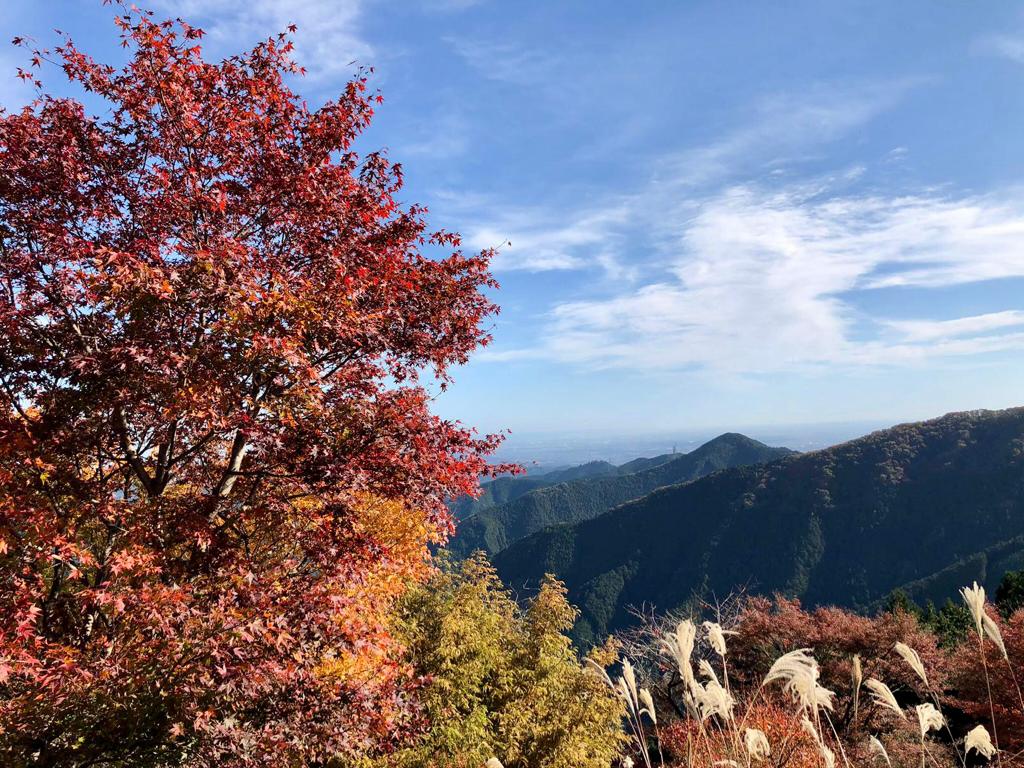 Autumn Mount Takao