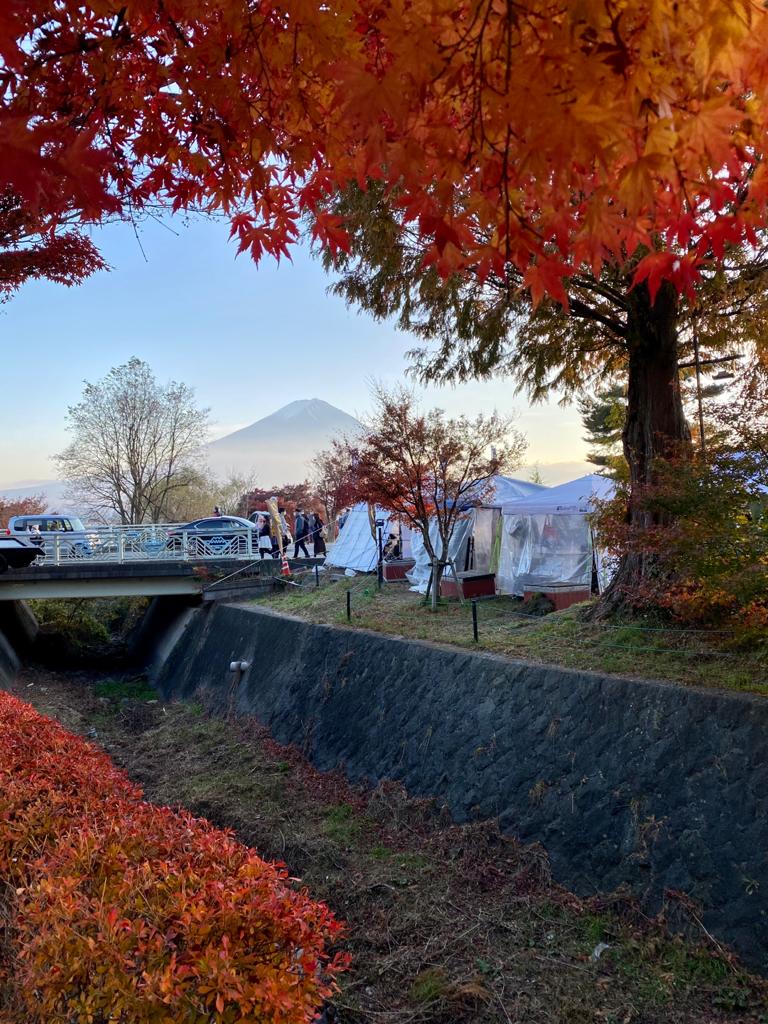 Fuji autumn
