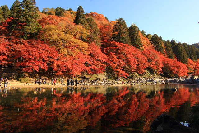 Korankei Aichi