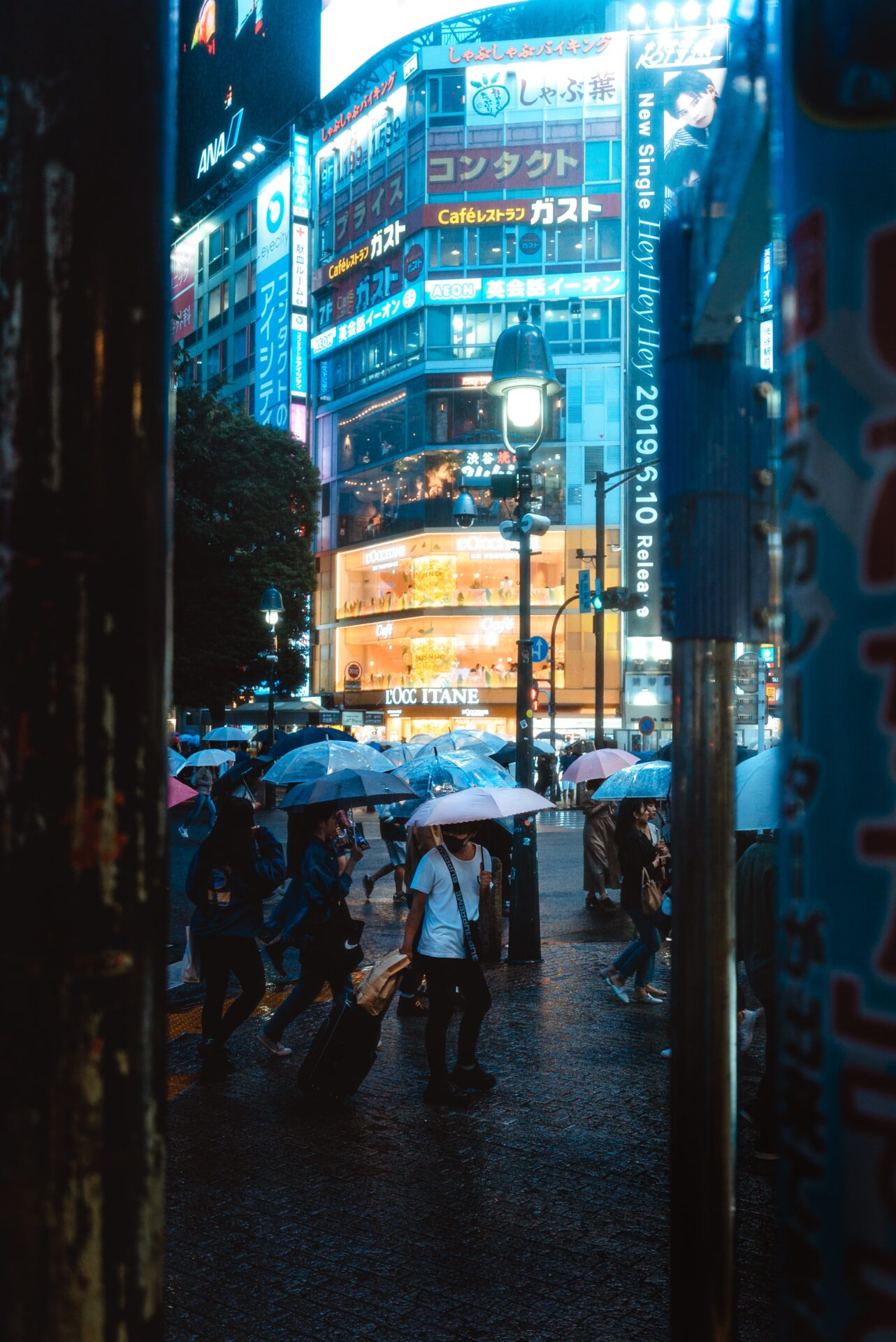 7 Places To See The Best View of Shibuya Crossing | Japan Wonder Travel ...