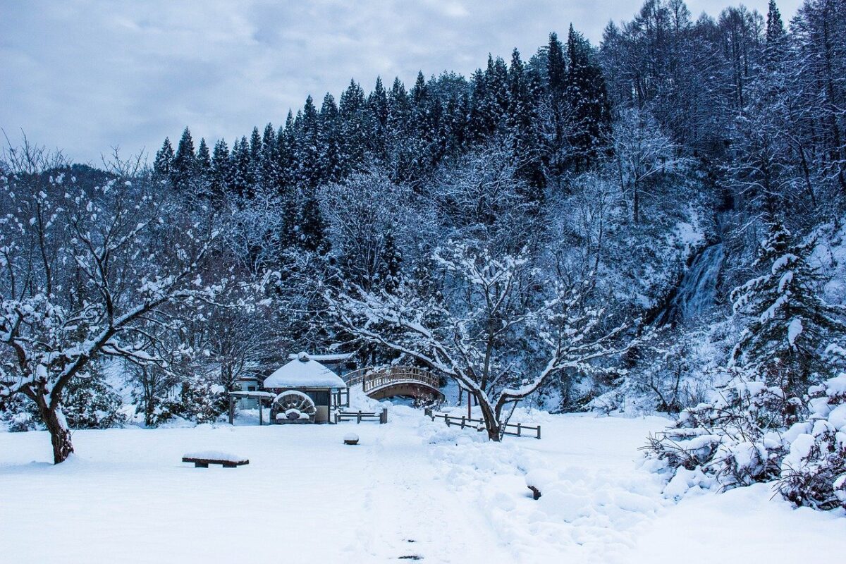 tohoku akita 