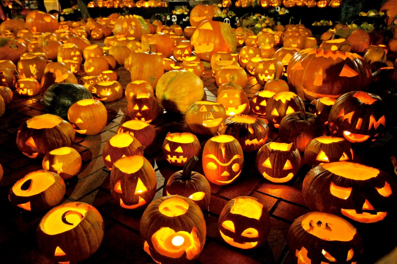 How To Celebrate Halloween in Japan 2023 | Japan Wonder Travel Blog