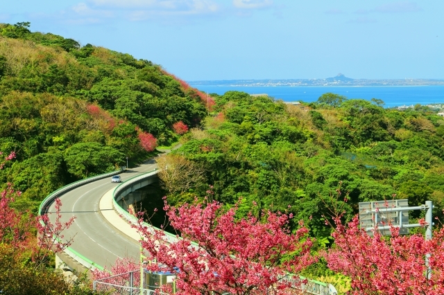 Mont Yae (Okinawa)