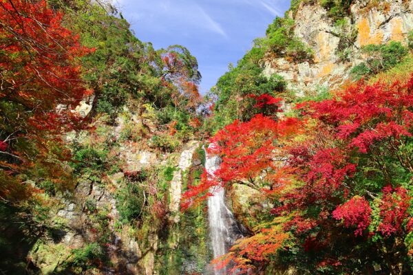 10 Best Nature Spots in Osaka | Japan Wonder Travel Blog