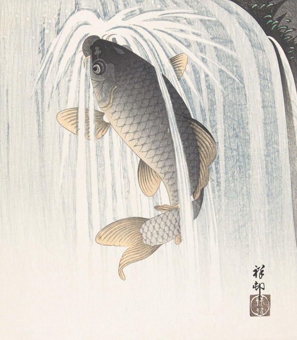 Fish flag japanese carp koi japan - Culture, Religion & Festivals