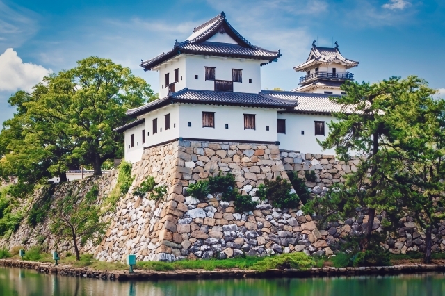 Castle by Water