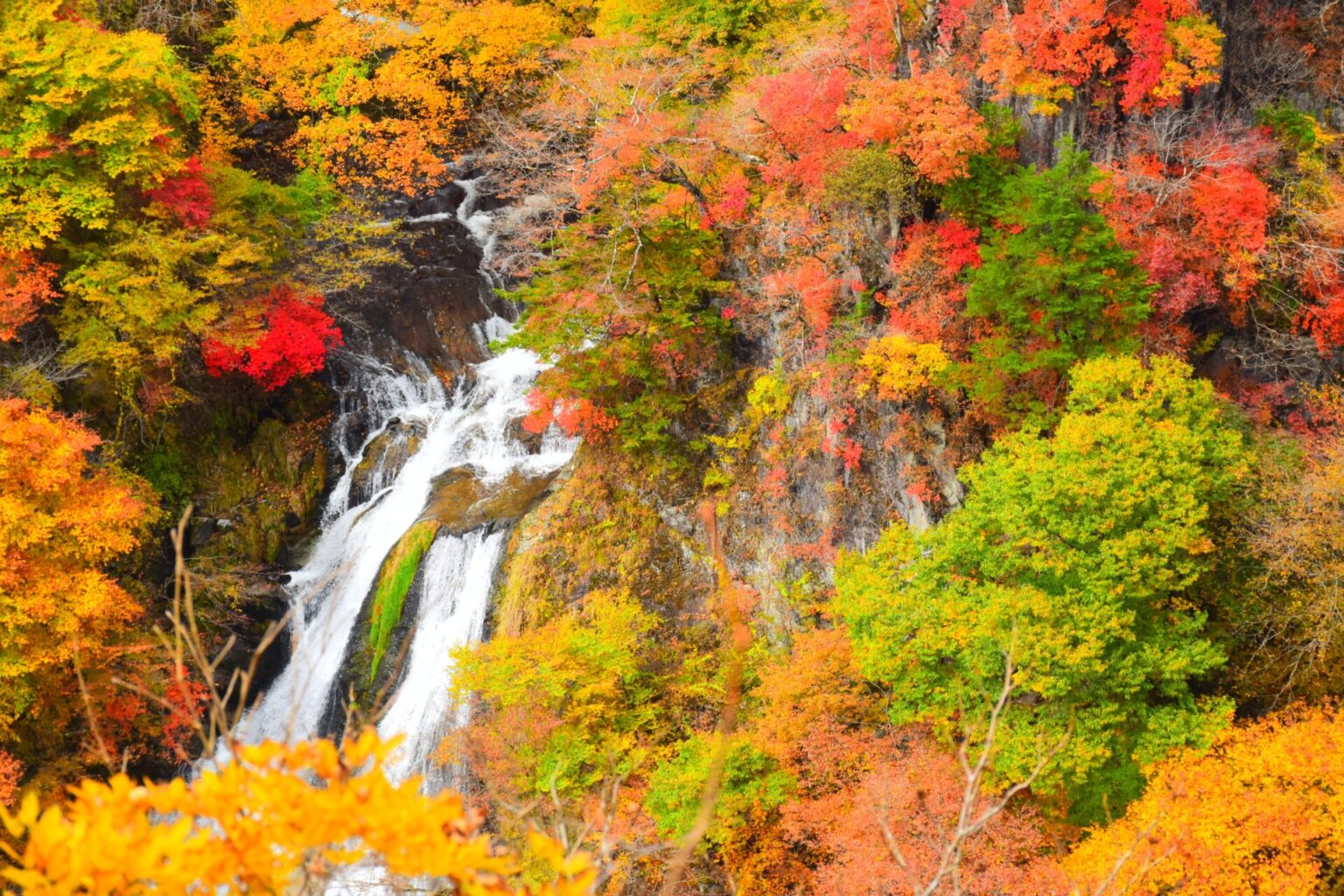 how-to-best-enjoy-four-seasons-in-japan-japan-wonder-travel-blog