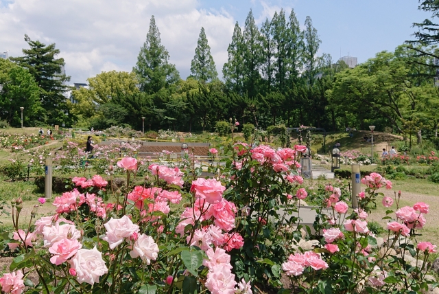 Utsubo Park Osaka 