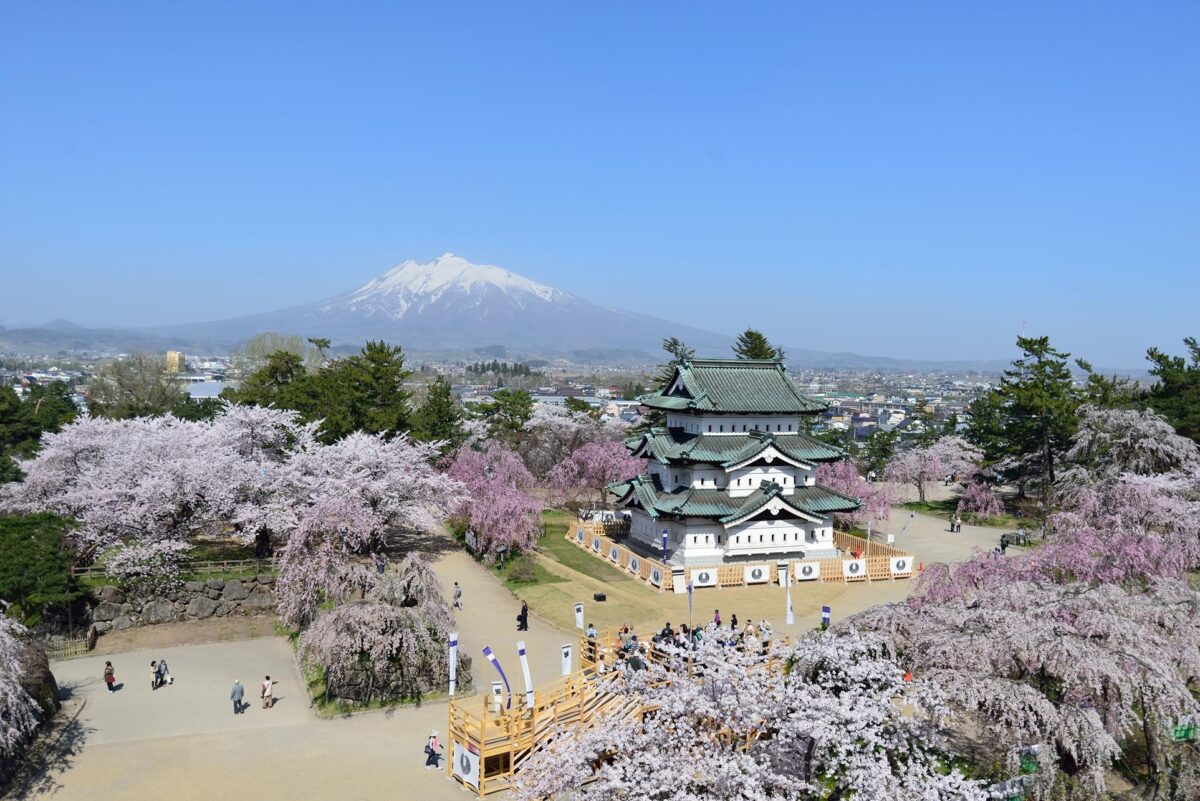 best time to visit japan for cherry blossoms