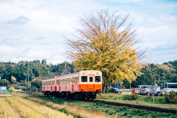 seishun-18-kippu-the-cheapest-train-tickets-in-japan-japan-wonder