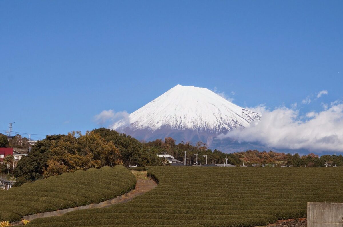 japan travel bus