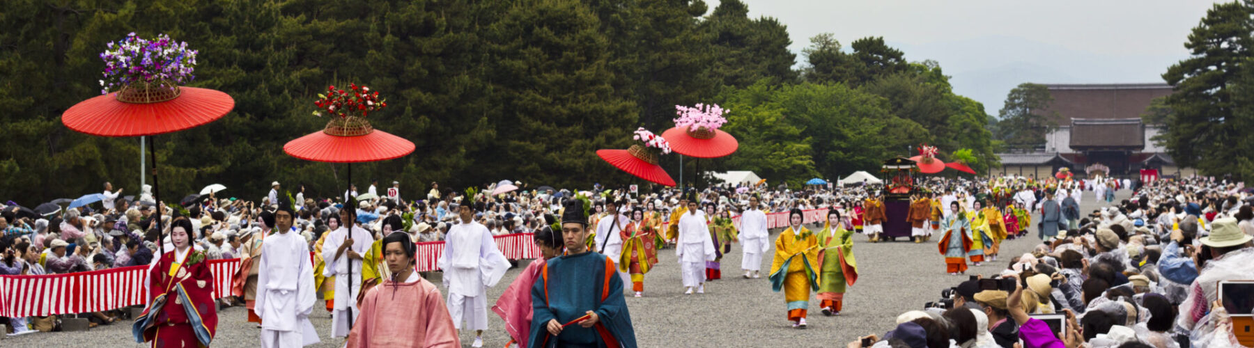 aoi matsuri festival