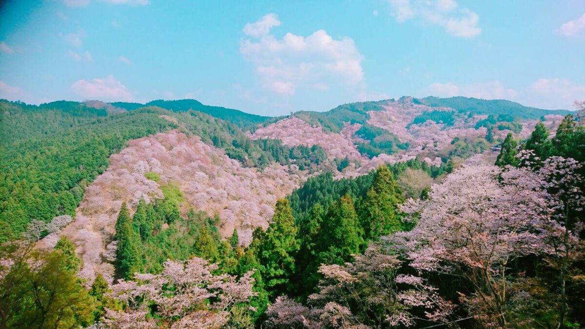 best places to visit in japan april