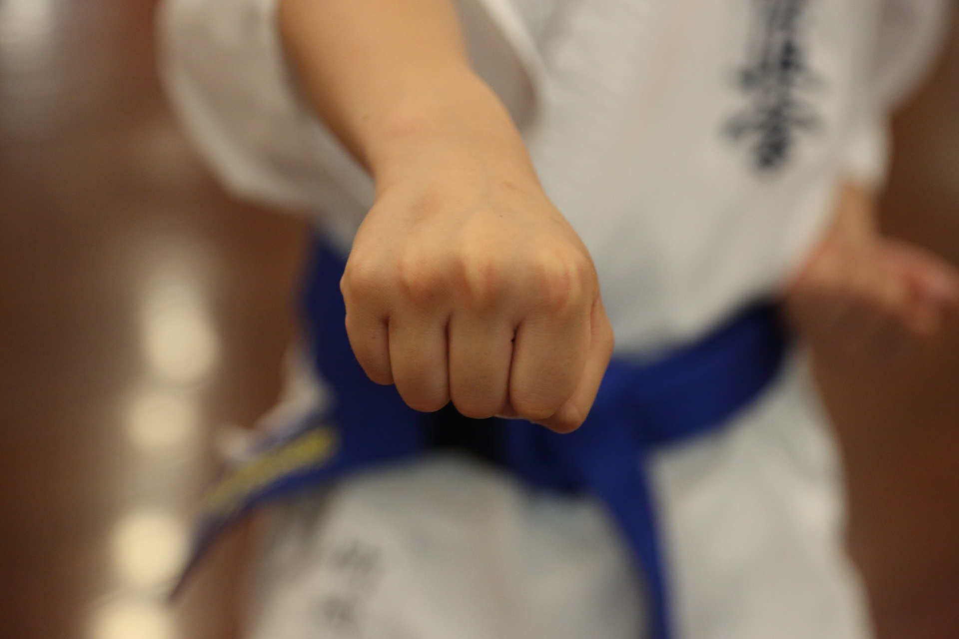 Finding a Pastime in Japan: Choosing a Japanese Martial Art