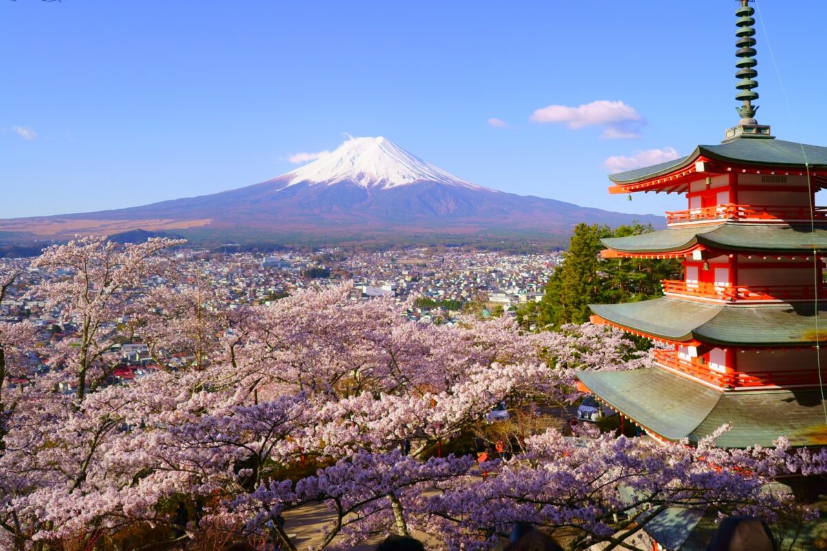 tourist spot in shizuoka japan