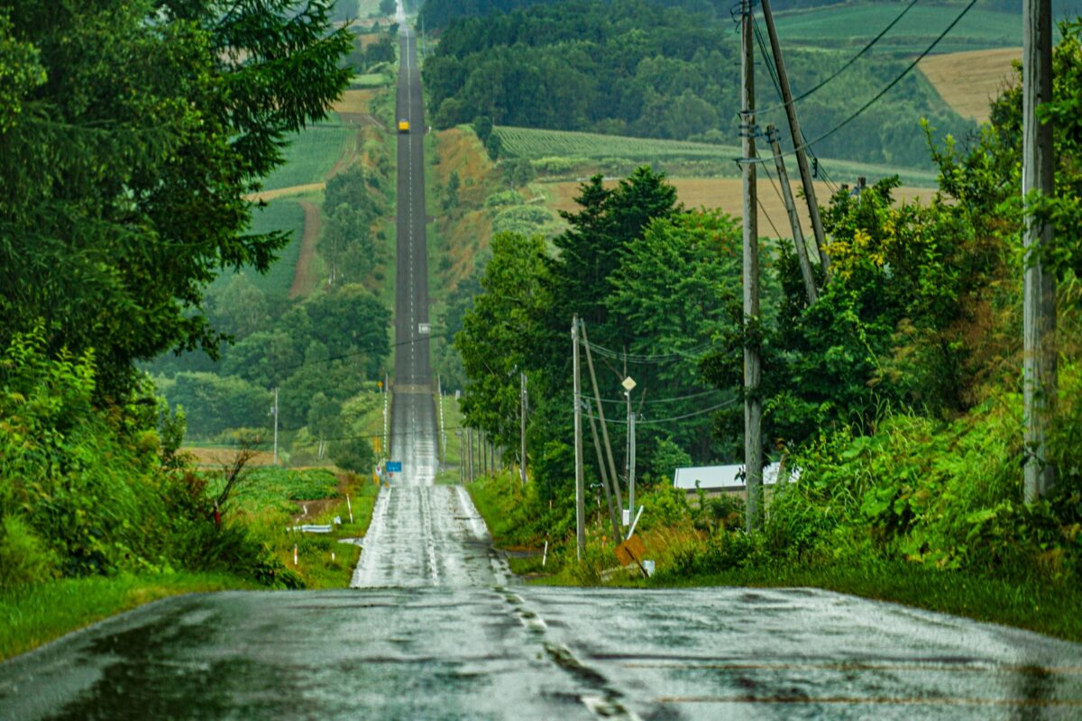 Roller Coaster Road 