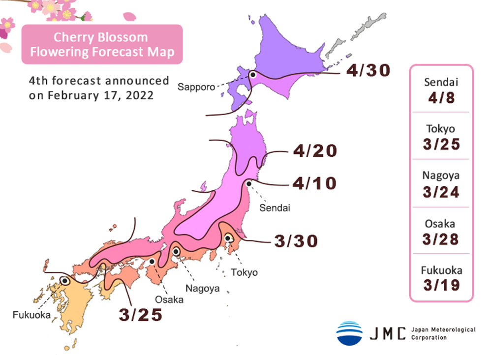 Blossom Schedule 2022 Cherry Blossom Season In Japan 2022 [Sakura Forecast] Updated