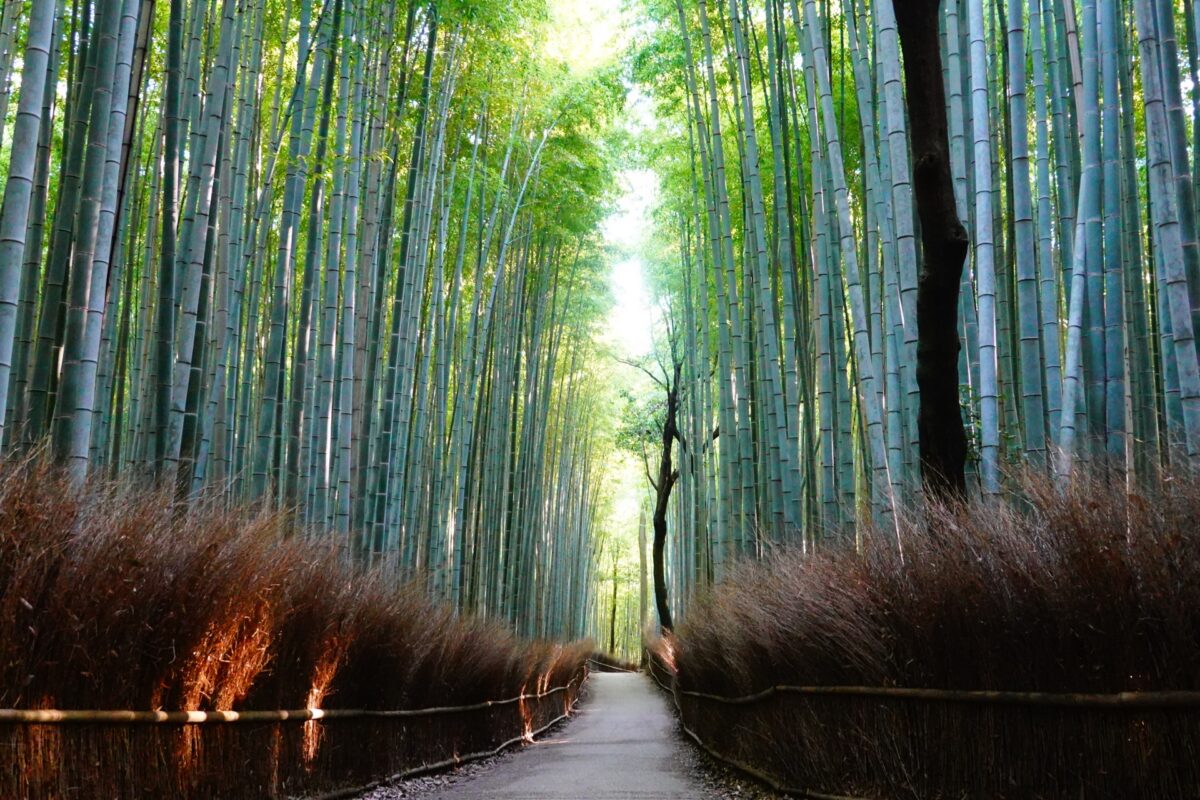 history tours kyoto