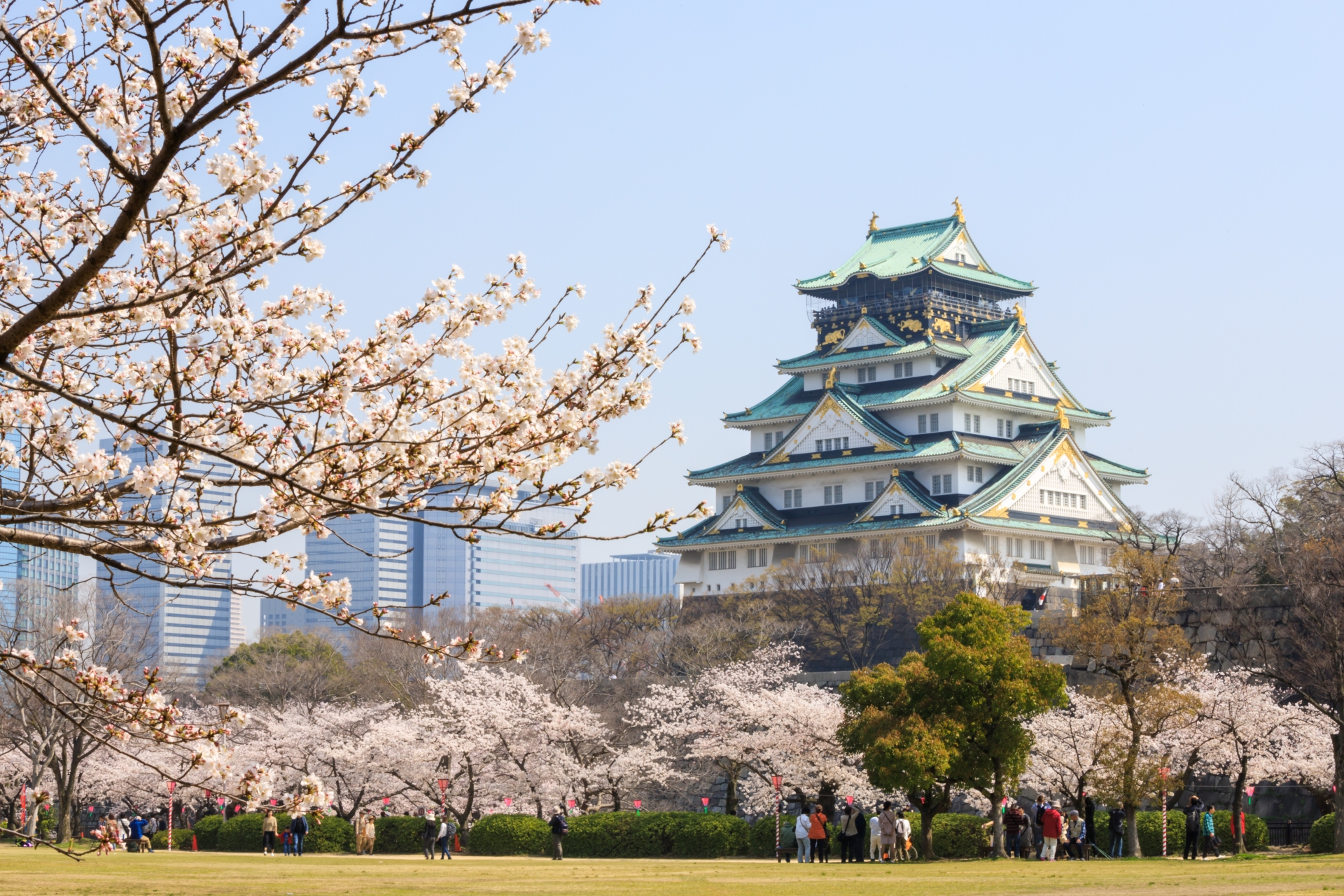 10 Best Cherry Blossom Viewing Spots in Osaka | Japan Wonder Travel Blog