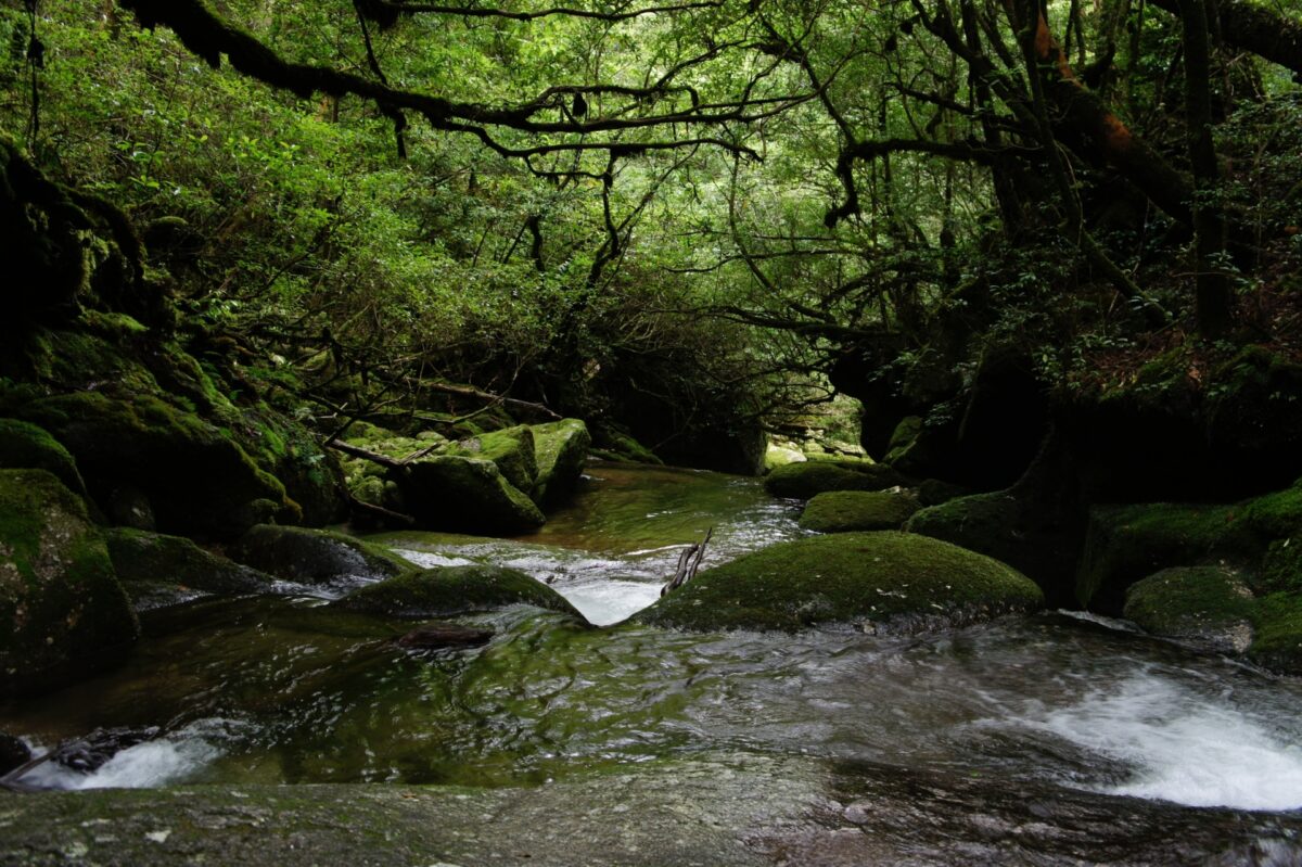 Yakushima