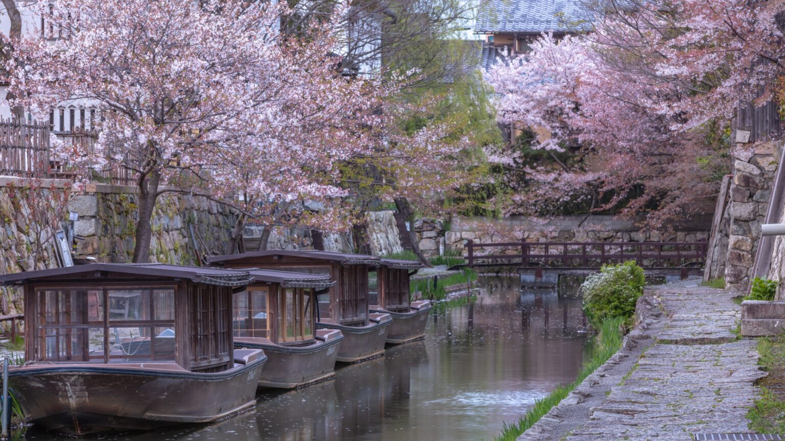 12 Best Places To Go Kayaking In Japan | Japan Wonder Travel Blog