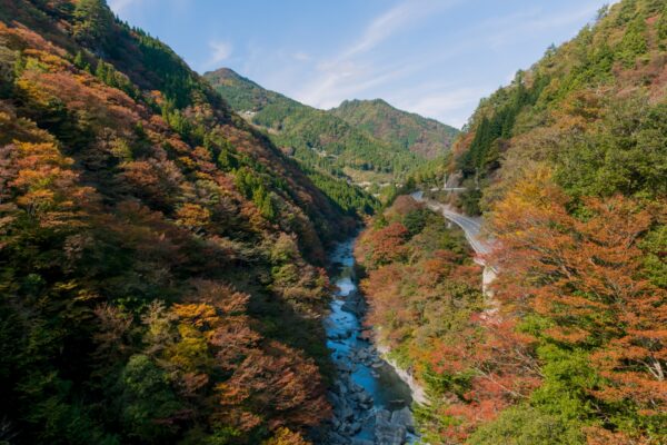 10 Best Farm Stays In Japan | Japan Wonder Travel Blog