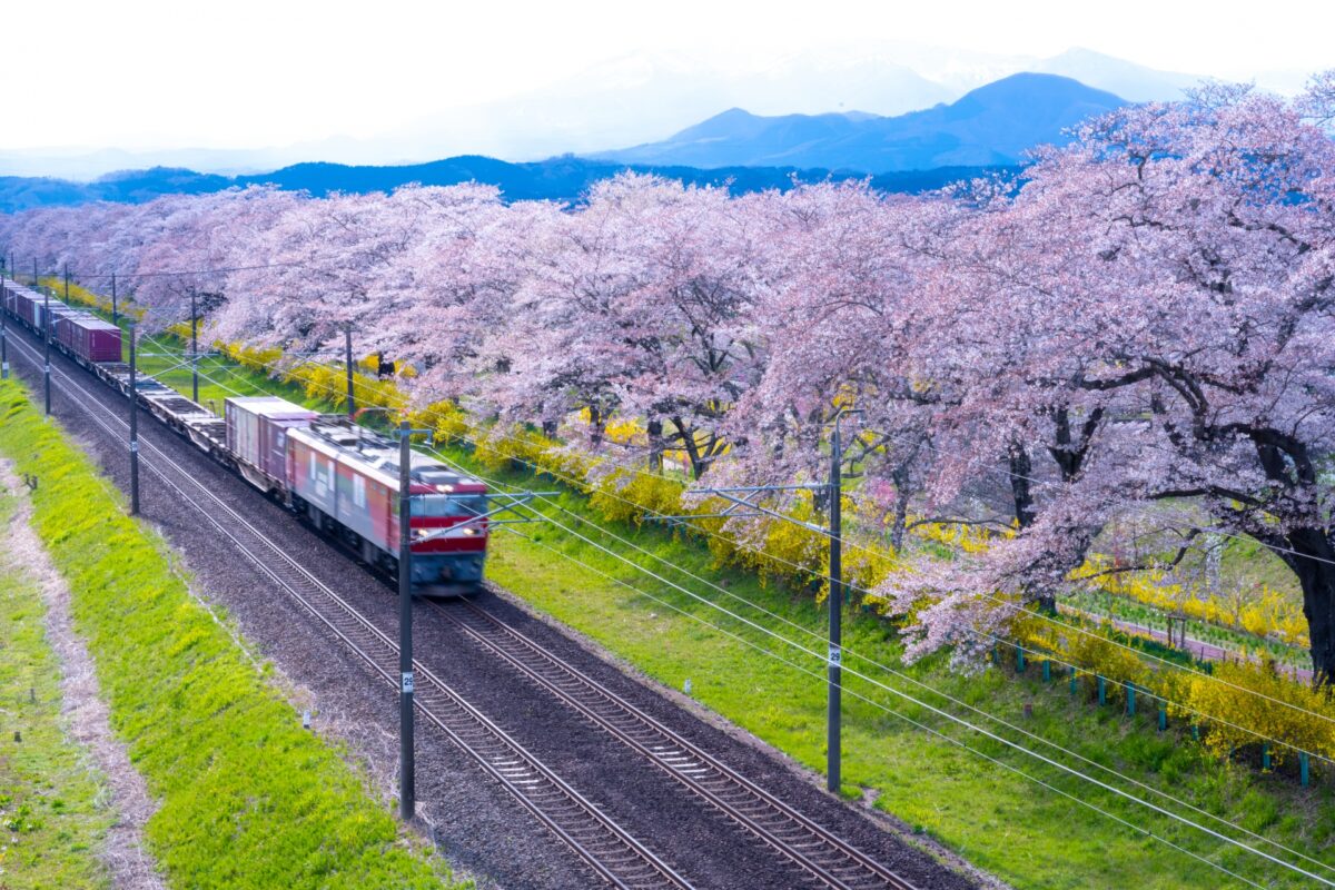 Shiroishi Riverside Hitome Senbonzakura