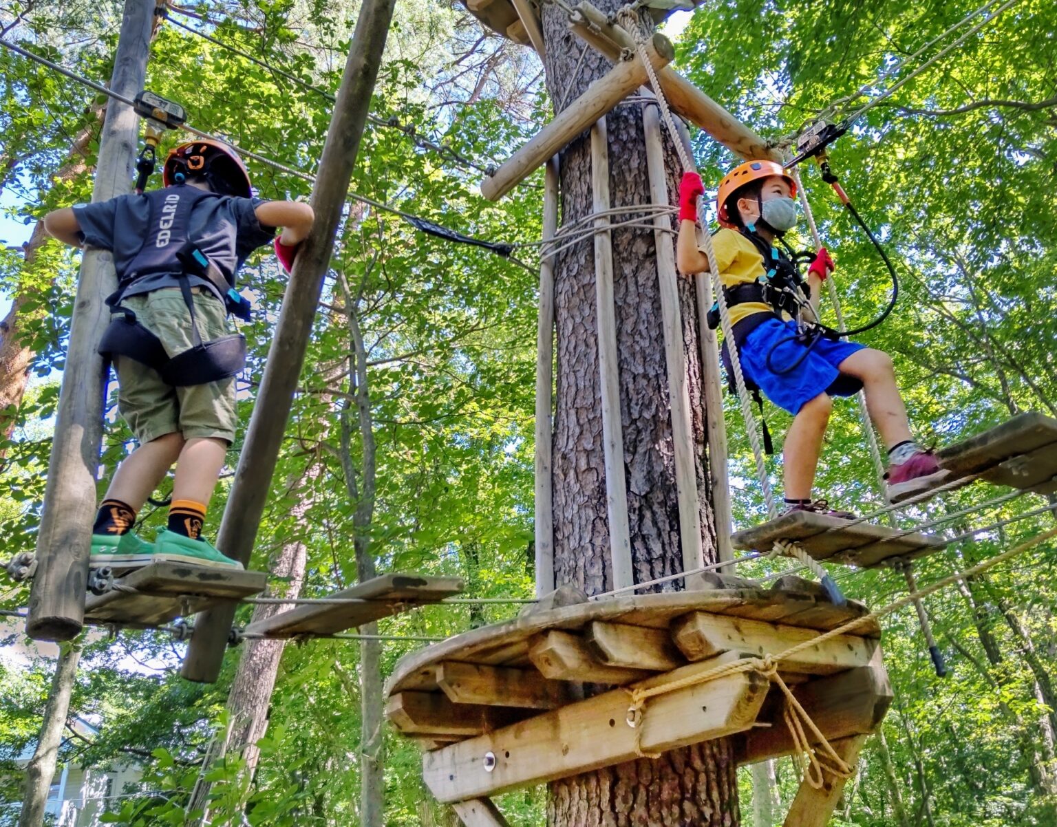 10-things-to-do-in-japan-for-families-japan-wonder-travel-blog