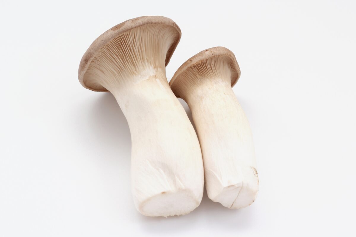 King Oyster Mushroom and Shimeji Mushroom and Shitake Mushroom O