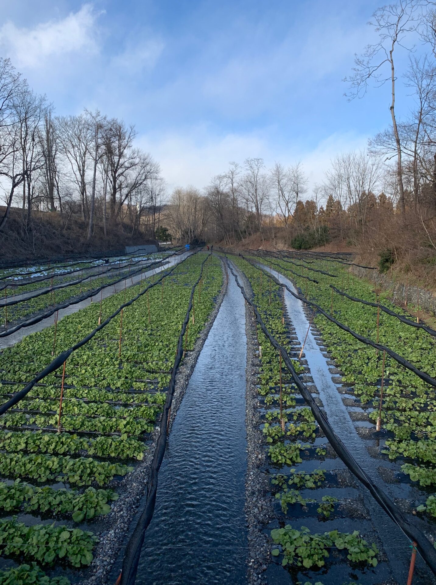 An Overnight Trip to Matsumoto Japan Wonder Travel Blog