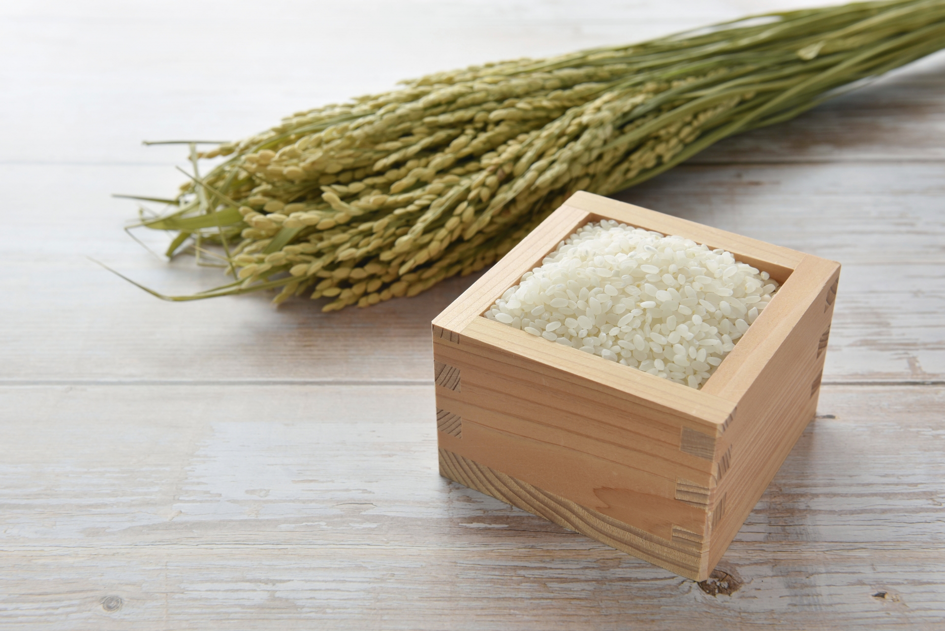 The History of Rice in Japan Japan Wonder Travel Blog