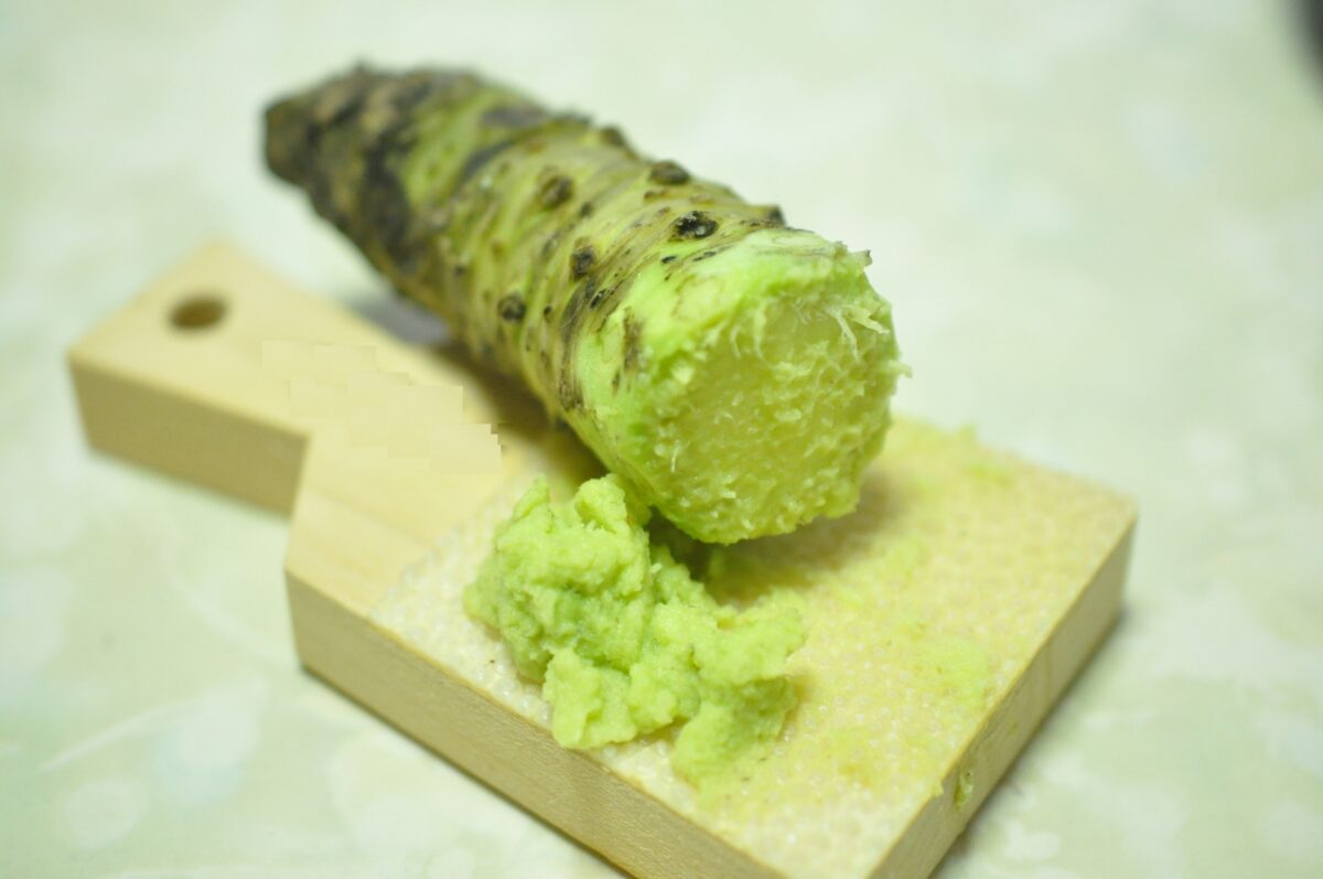 Le wasabi japonais  GOURMANDISE SANS FRONTIERES