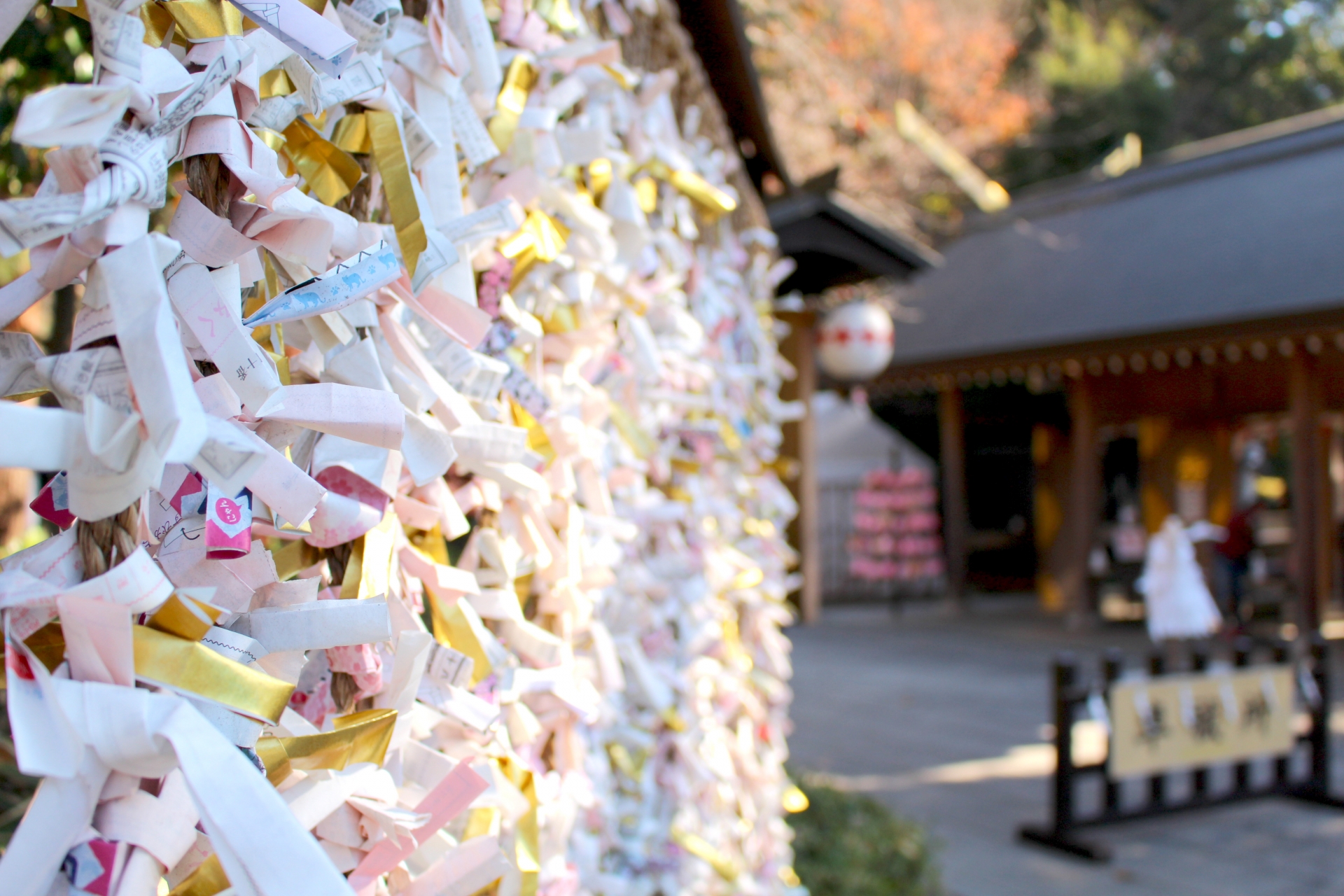 10 Symbols of Luck and Good Fortune in Japan Japan Wonder Travel Blog
