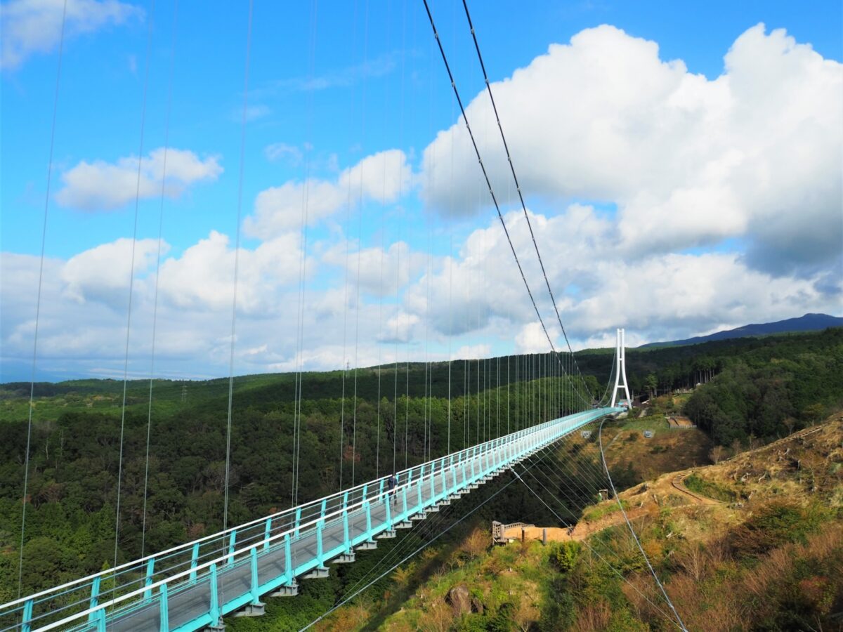 Mishima Skywalk