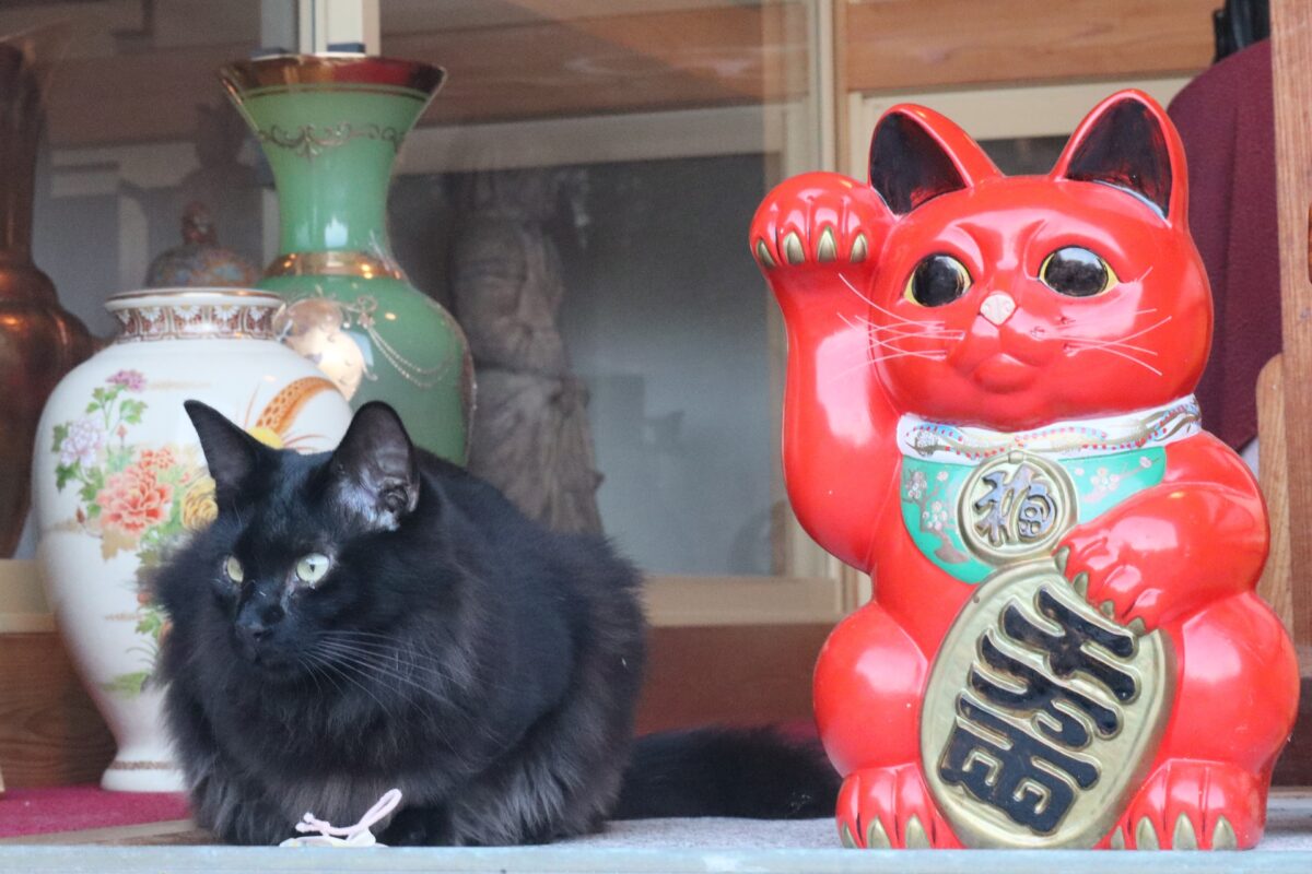 What is Maneki Neko, the Lucky Cat