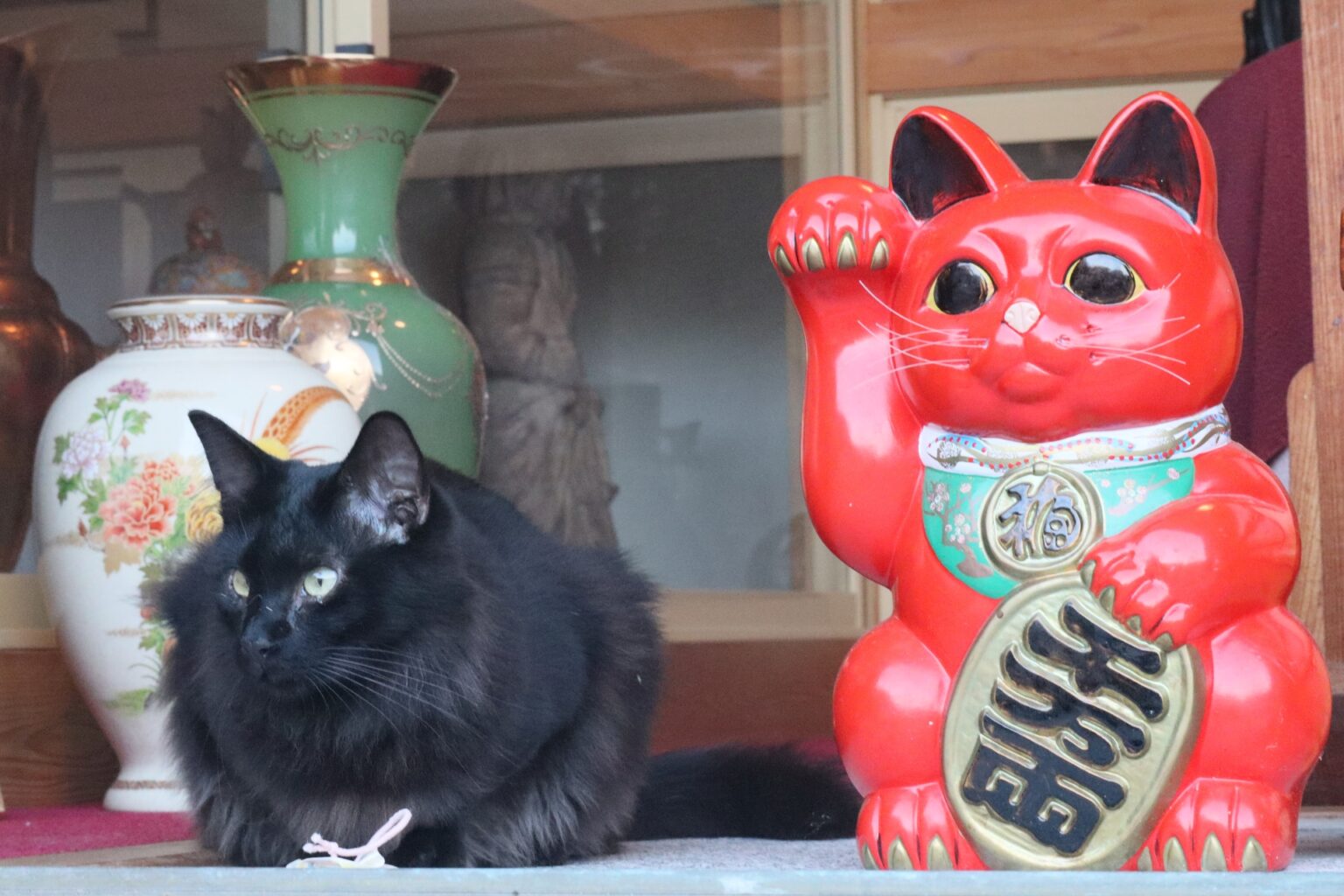 What Is Maneki Neko, The Lucky Cat | Japan Wonder Travel Blog