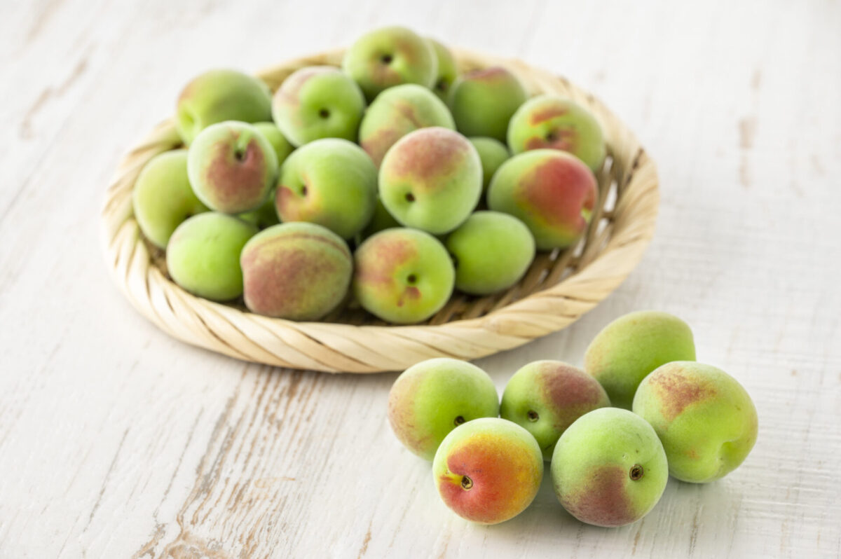 Green plums in basket