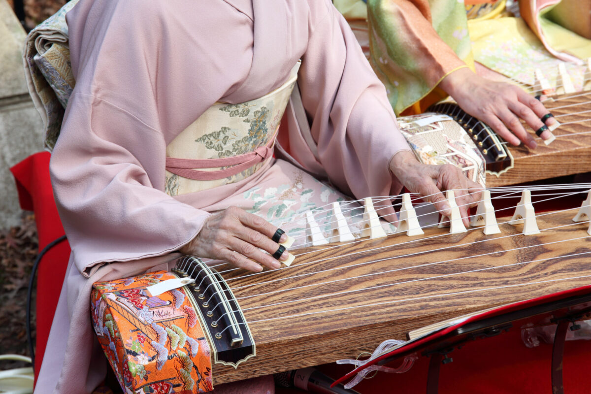 Japanese String Instrument