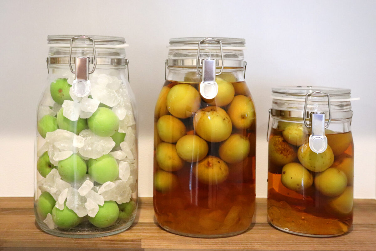 Umeshu making different stages