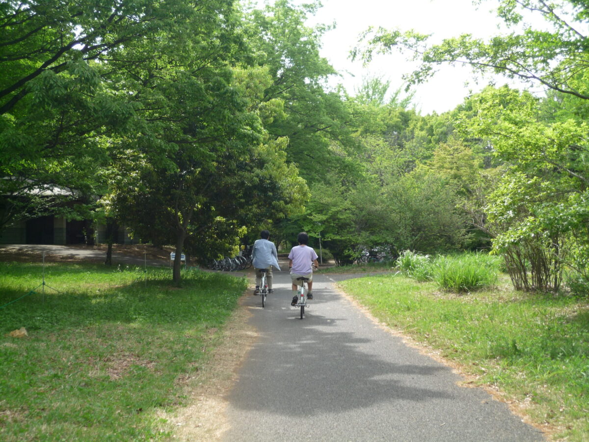 Showa Memorial Park bike path