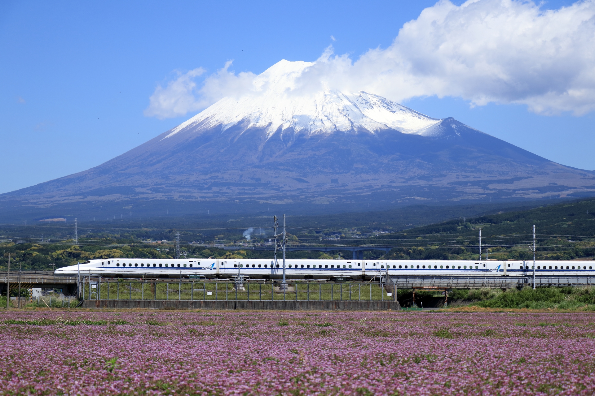 The Ultimate Guide to Japan's Iconic Mt. Fuji | Japan Wonder Travel Blog