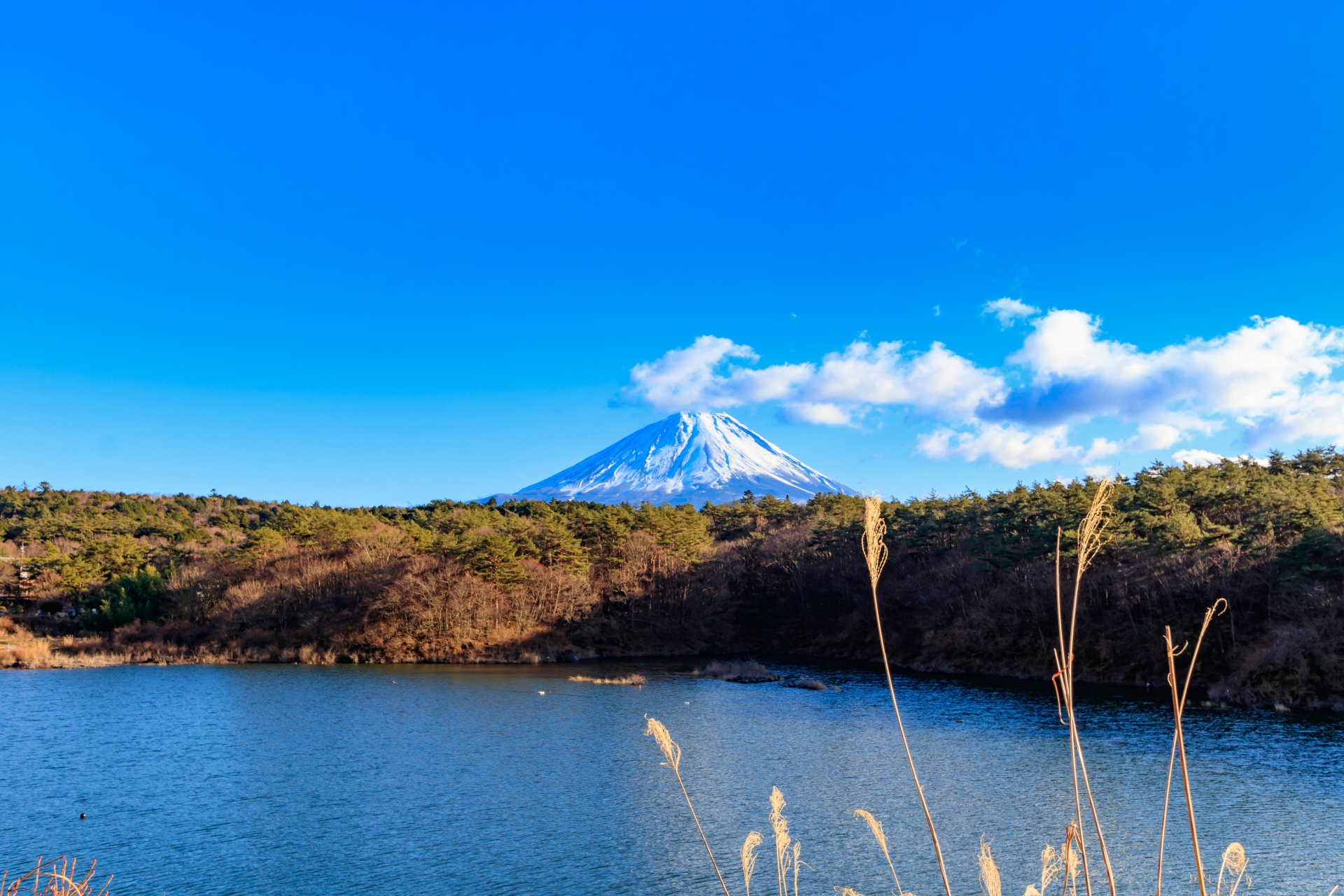 The Ultimate Guide to The Fuji Five Lakes | Japan Wonder Travel Blog