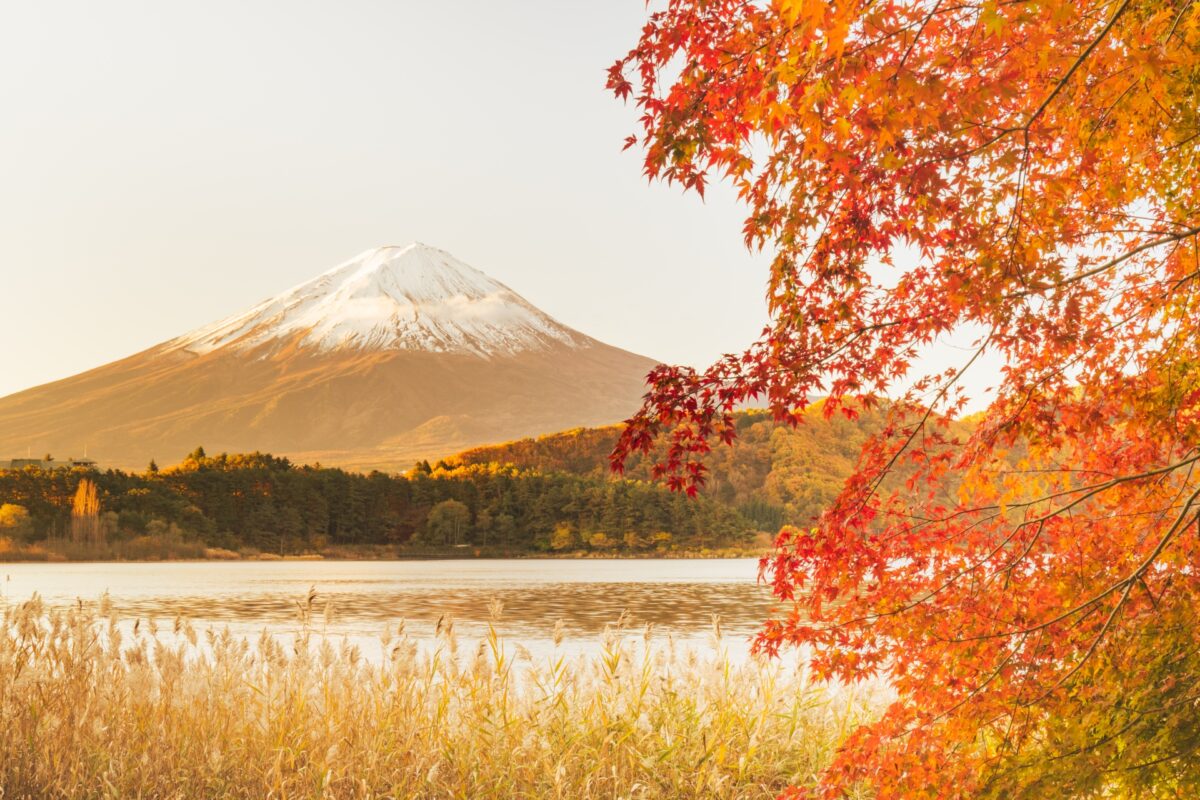 Mount Fuji