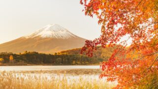 tourist spot in mt fuji