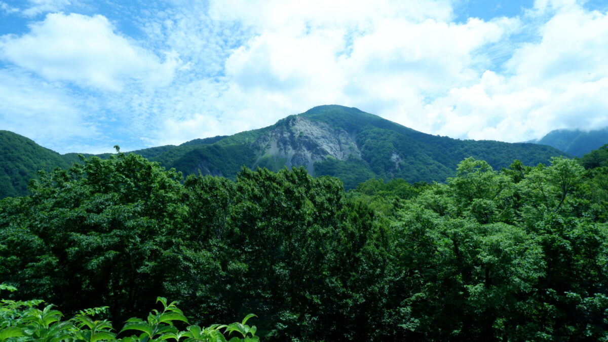 Shirakami Sanchi mountain range