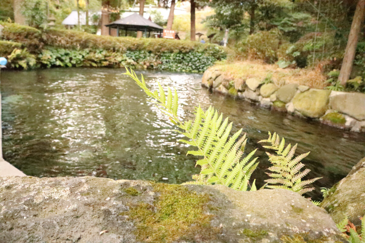 Shirakawa Water Source