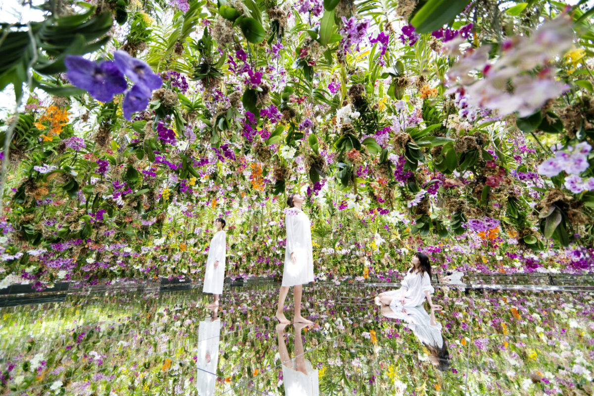 Jardin de fleurs flottant_planets_21